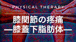 膝関節の疼痛-膝蓋下脂肪体-