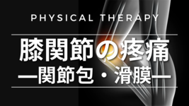 膝関節の疼痛-関節包・滑膜-