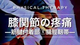 膝関節の疼痛-筋腱付着部①腸脛靭帯-