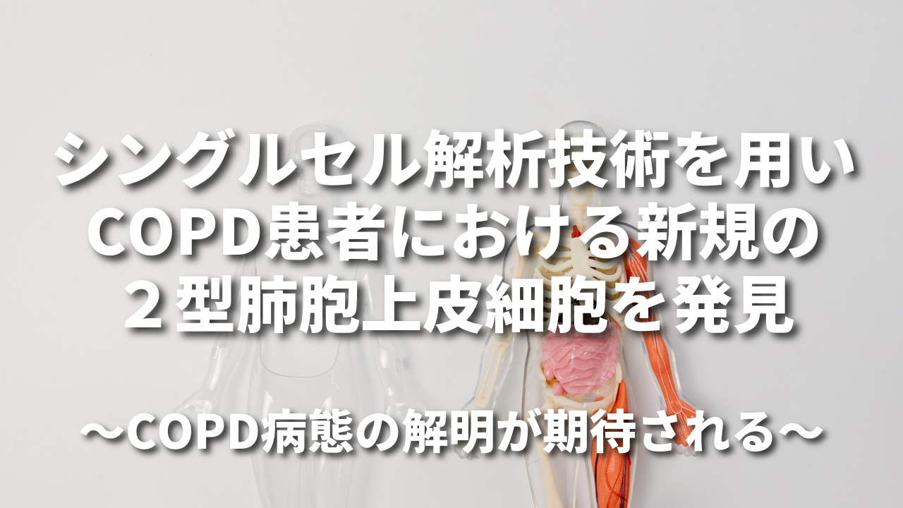 シングルセル解析技術を用いCOPD患者における新規の２型肺胞上皮細胞を発見 ～COPD病態の解明が期待される～