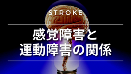 【脳卒中シリーズ】感覚障害と運動障害の関係