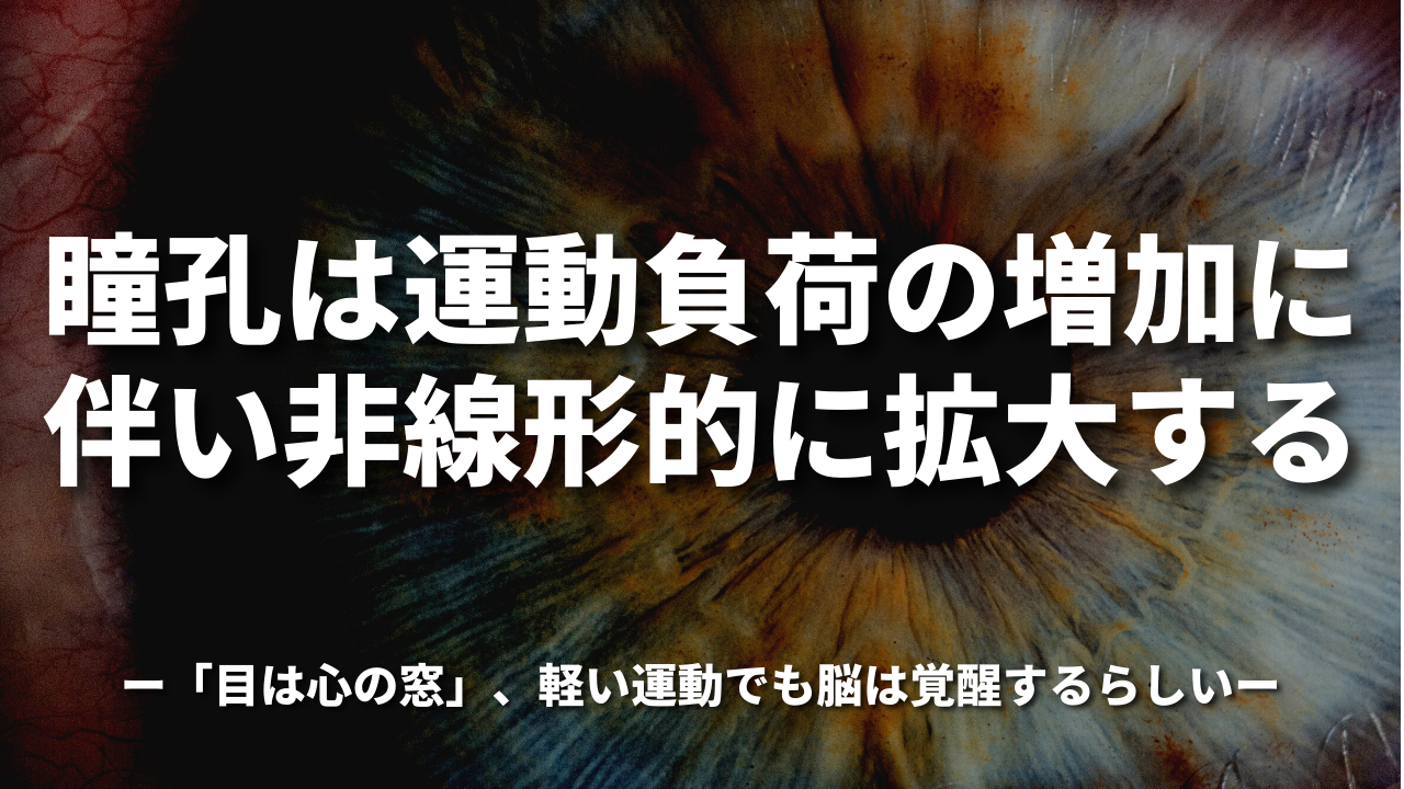 瞳孔は運動負荷の増加に伴い非線形的に拡大する〜「目は心の窓」、軽い運動でも脳は覚醒するらしい〜