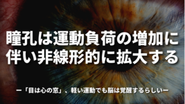 瞳孔は運動負荷の増加に伴い非線形的に拡大する〜「目は心の窓」、軽い運動でも脳は覚醒するらしい〜