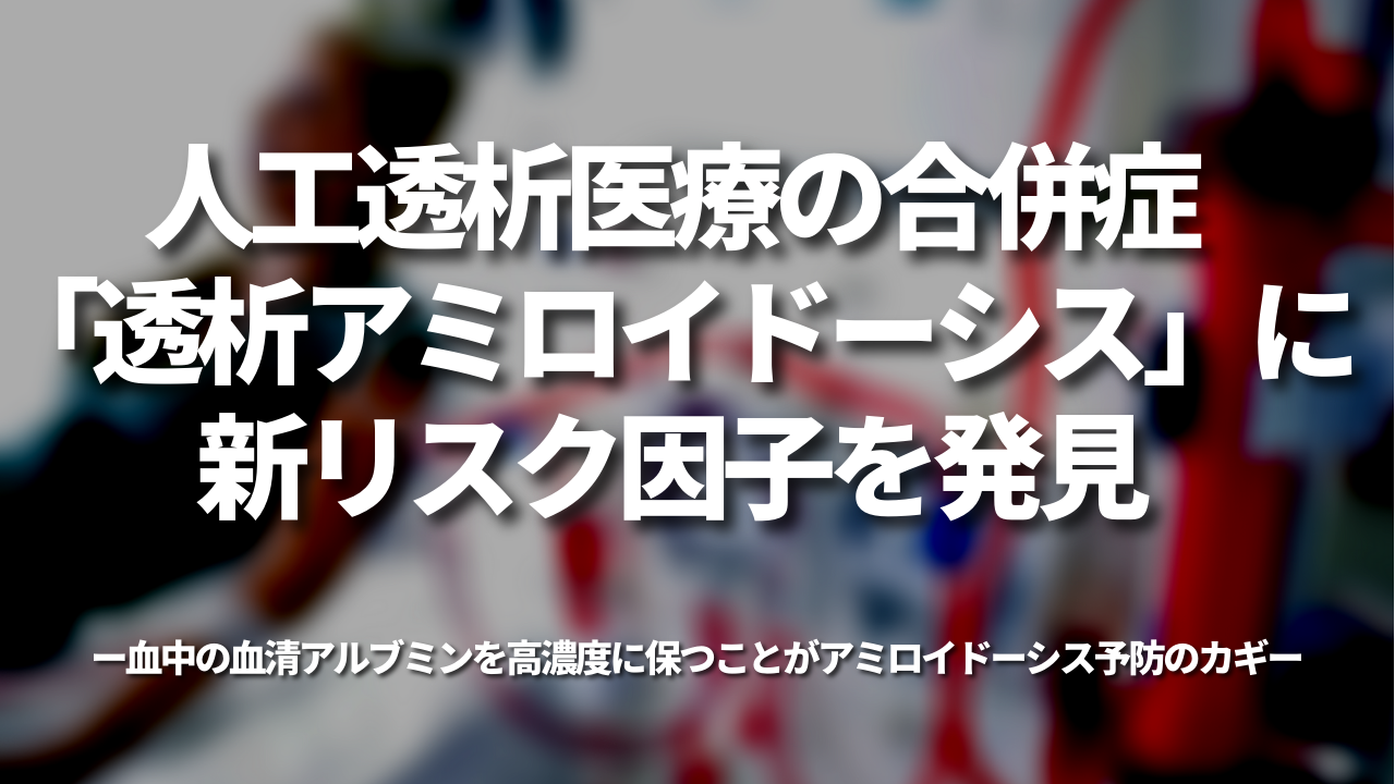 人工透析医療の合併症「透析アミロイドーシス」に新リスク因子を発見-血中の血清アルブミンを高濃度に保つことがアミロイドーシス予防のカギ-