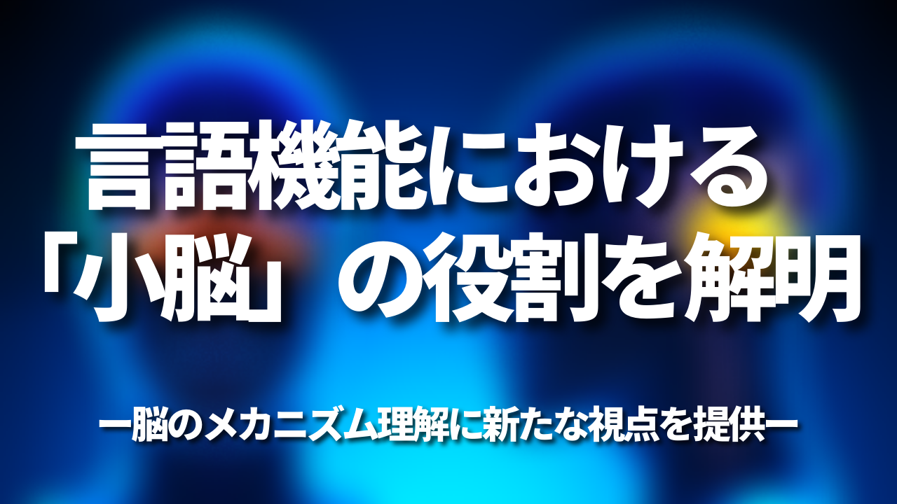 言語機能における「小脳」の役割を解明―脳のメカニズム理解に新たな視点を提供―