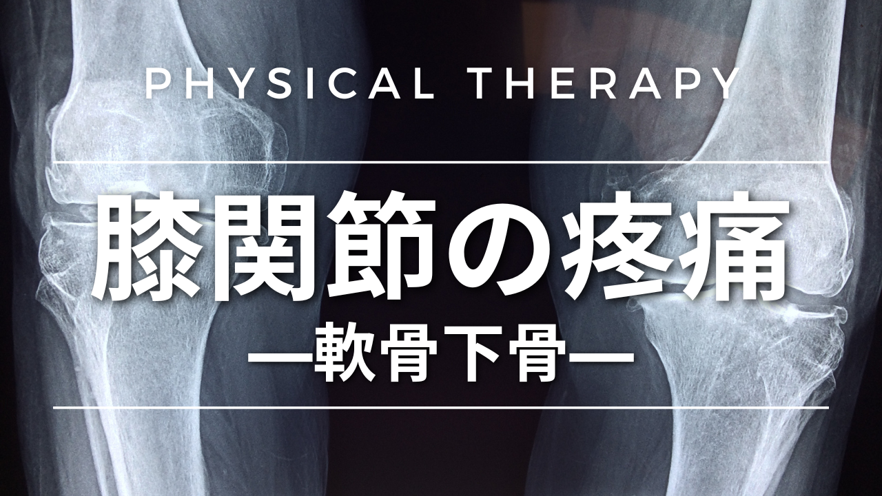 膝関節の疼痛-軟骨下骨-
