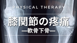 膝関節の疼痛-軟骨下骨-