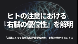 ヒトの注意における『右脳の優位性』を解明 「人間にとってなぜ右脳が重要なのか」を解き明かすヒントに