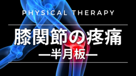 膝関節の疼痛-半月板-