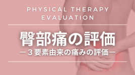 臀部痛の評価ー３要素由来の痛みの評価ー