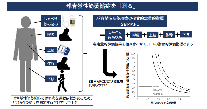 球脊髄性筋萎縮症の複合的評価指標「SBMAFC」の開発 ：神経難病を正確に「測る」