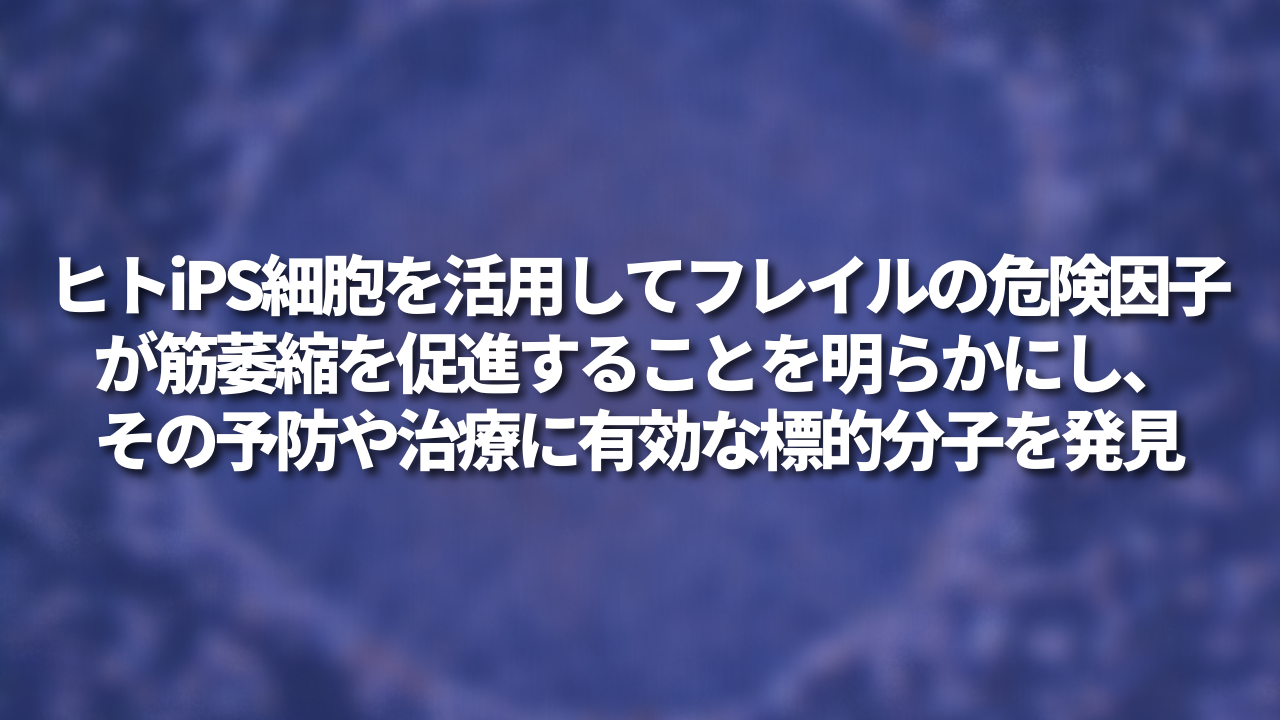 ヒトiPS細胞を活用してフレイルの危険因子が筋萎縮を促進することを明らかにし、その予防や治療に有効な標的分子を発見