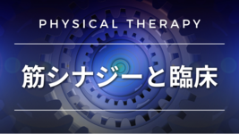 筋シナジーと臨床