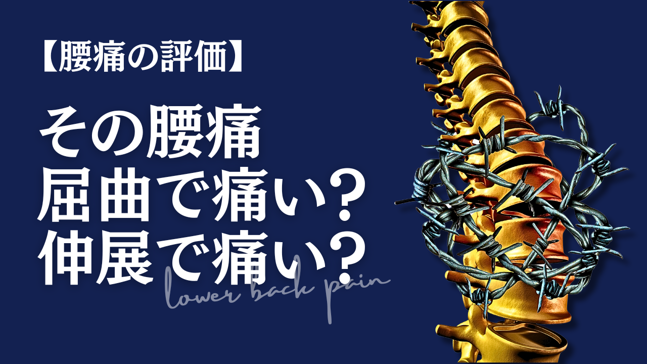【腰痛の評価】その腰痛は屈曲で痛い？伸展で痛い？