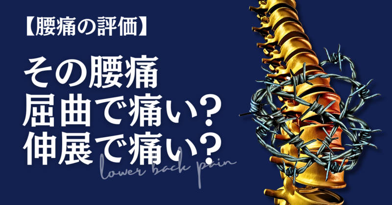 腰痛の評価】その腰痛は屈曲で痛い？伸展で痛い？ | POST