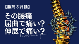【腰痛の評価】その腰痛は屈曲で痛い？伸展で痛い？
