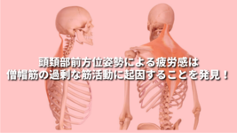 頭頚部前方位姿勢による疲労感は僧帽筋の過剰な筋活動に起因することを発見！