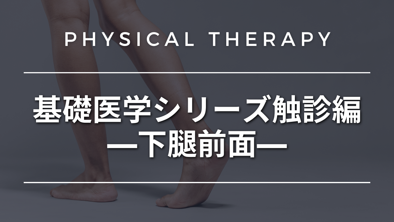 基礎医学シリーズ触診編―下腿前面―
