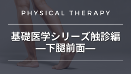 基礎医学シリーズ触診編―下腿前面―