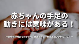 赤ちゃんの手足の動きには意味がある！ ～筋情報の推定でわかった、発達を育む「感覚運動ワンダリング」～