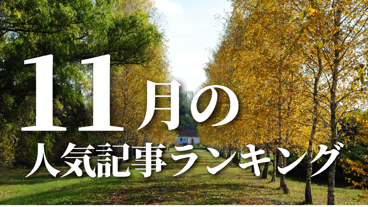【11月】に一番読まれた記事はこれだ