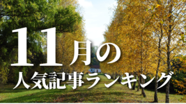 【11月】に一番読まれた記事はこれだ