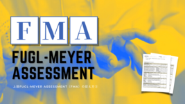 上肢Fugl-Meyer Assessment（FMA）の捉え方②