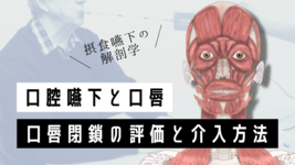 【解剖学】口腔嚥下-口唇編-