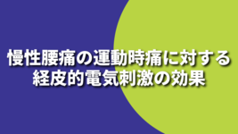 慢性腰痛の運動時痛に対する経皮的電気刺激の効果