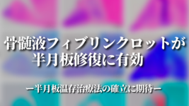 骨髄液フィブリンクロットが半月板修復に有効 ～半月板温存治療法の確立に期待～