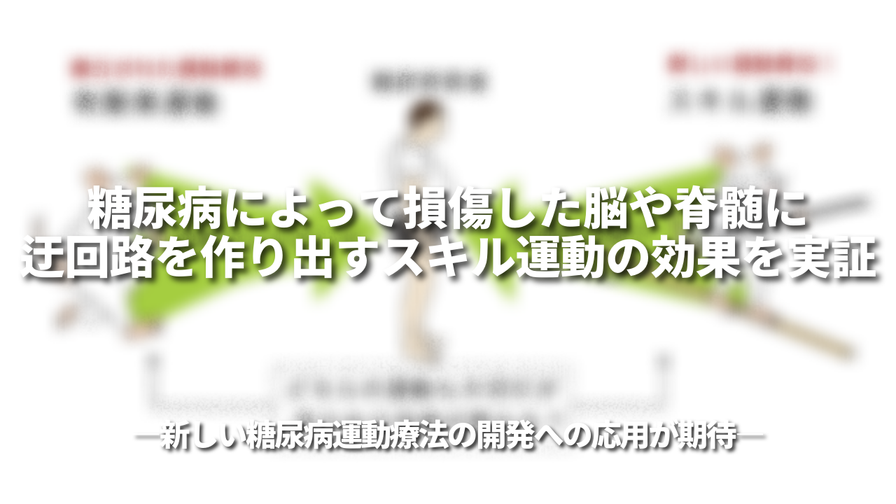 糖尿病によって損傷した脳や脊髄に迂回路を作り出すスキル運動の効果を実証―新しい糖尿病運動療法の開発への応用が期待―