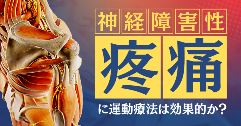 神経障害性疼痛に運動療法は効果的か | 理学療法士・作業療法士・言語