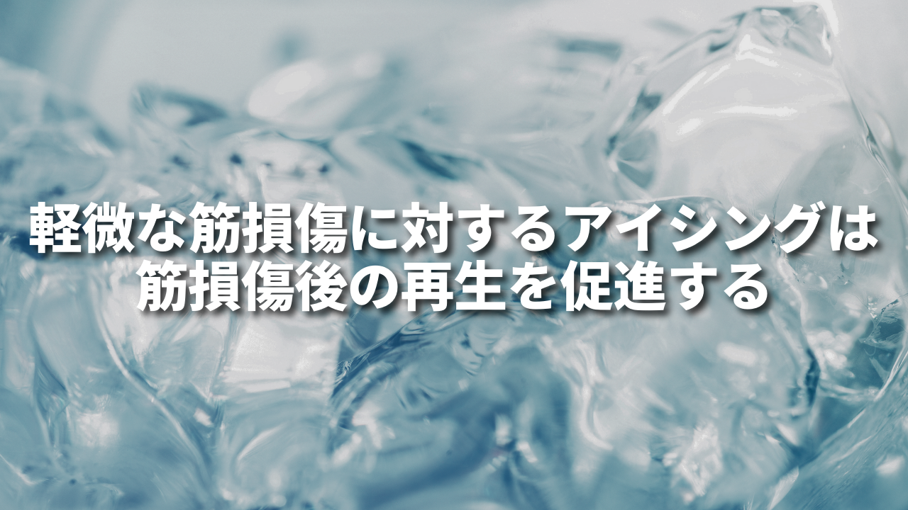 軽微な筋損傷に対するアイシングは筋損傷後の再生を促進する