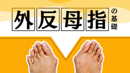 外反母趾の基礎