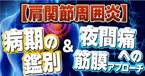 【肩関節周囲炎】"病期の鑑別"と"夜間痛への筋膜アプローチ"