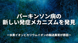パーキンソン病の新しい発症メカニズムを発見 ～水素イオンとカリウムイオンの輸送異常が原因～