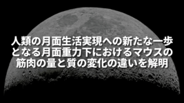 人類の月面生活実現への新たな一歩となる月面重力下におけるマウスの筋肉の量と質の変化の違いを解明