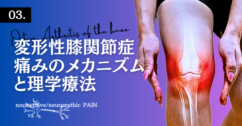 変形性膝関節症における痛みのメカニズムと理学療法 | 理学療法士