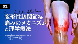 変形性膝関節症における痛みのメカニズムと理学療法