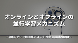 オンラインとオフラインの並行学習メカニズム 神経-グリア超回路による記憶制御機構の解明
