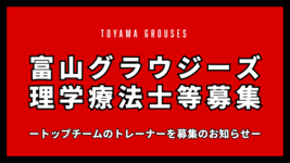 【Bリーグ】富山グラウジーズ｜理学療法士等募集