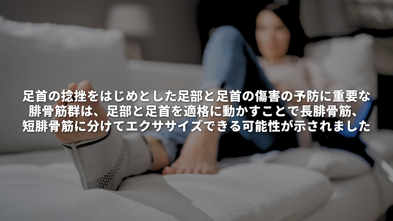 足首の捻挫をはじめとした足部と足首の傷害の予防に重要な腓骨筋群は、足部と足首を適格に動かすことで長腓骨筋、短腓骨筋に分けてエクササイズできる可能性が示されました