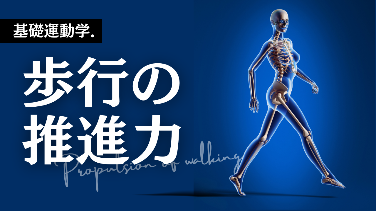 【運動学】歩行の推進力