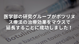 医学部の研究グループが、ボツリヌス療法の治療効果をマウスで延長することに成功しました！