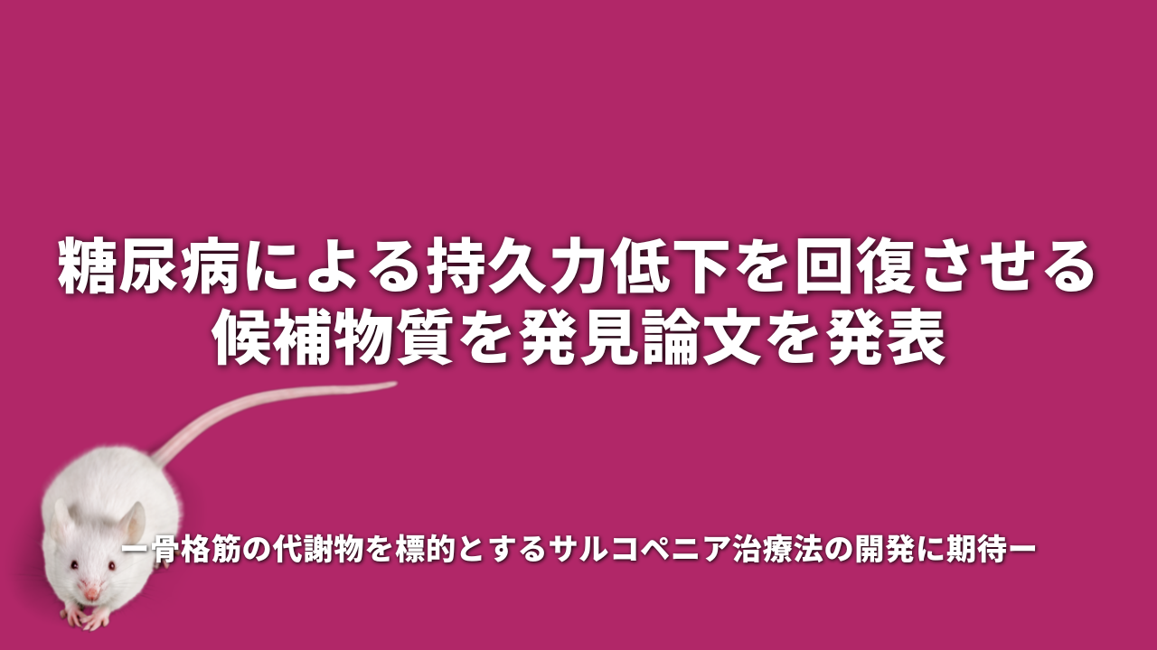 糖尿病による持久力低下を回復させる候補物質を発見 骨格筋の代謝物を標的とするサルコペニア治療法の開発に期待