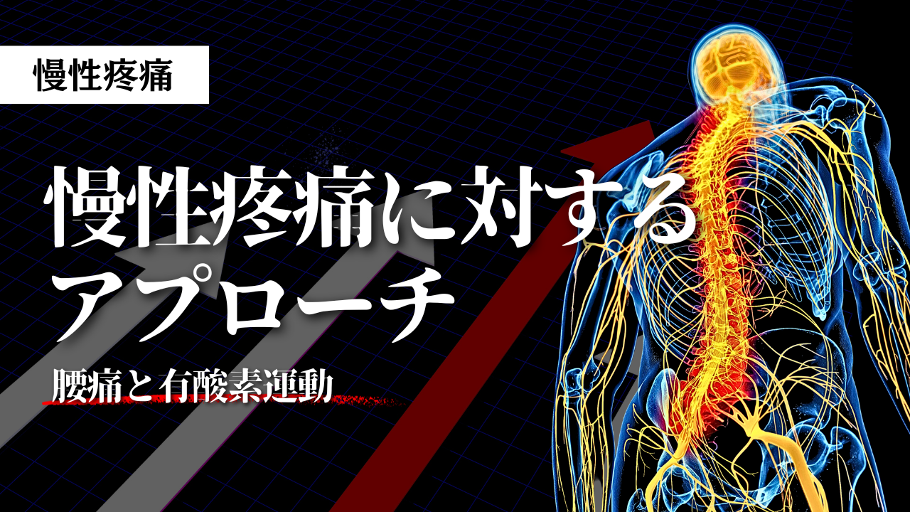 慢性疼痛に対するアプローチー腰痛と有酸素運動ー