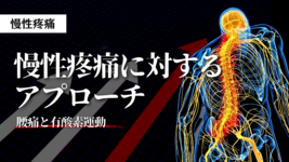 慢性疼痛に対するアプローチー腰痛と有酸素運動ー
