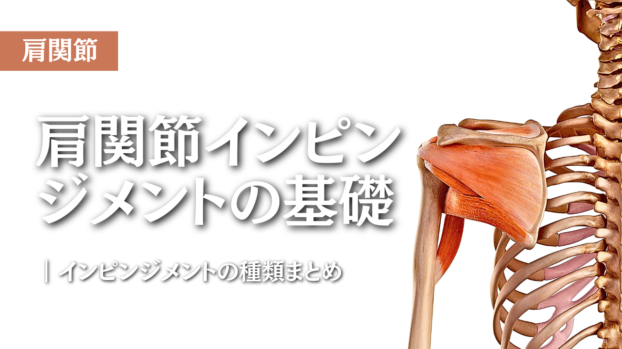 肩関節インピンジメントの基礎