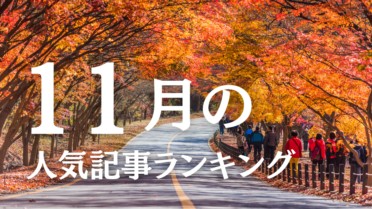 【11月】に一番読まれた記事はこれだ