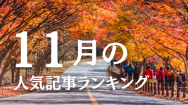 【11月】に一番読まれた記事はこれだ